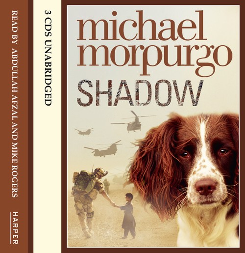 Shadow