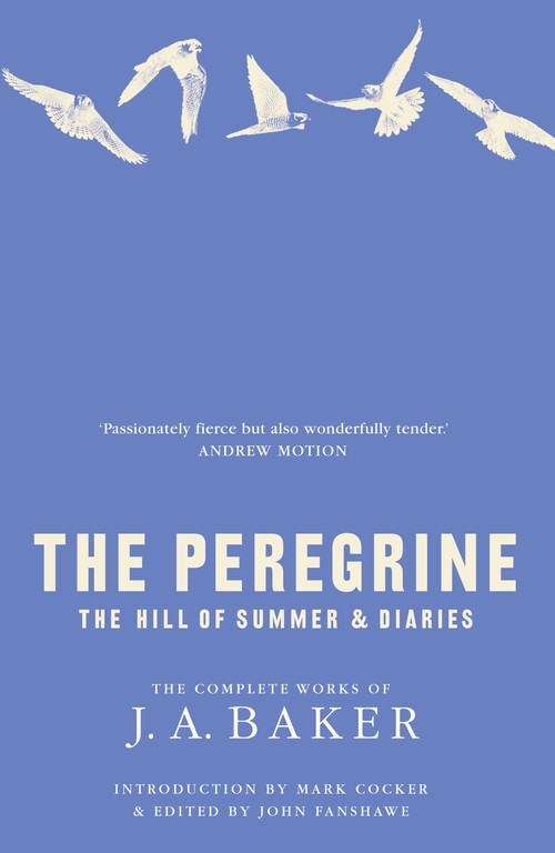 The Peregrine