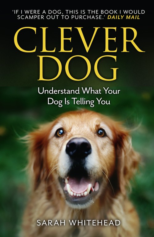 Clever Dog