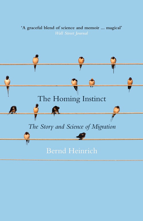 The Homing Instinct