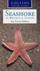 Seashore of Britain and Europe
