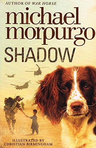 Shadow