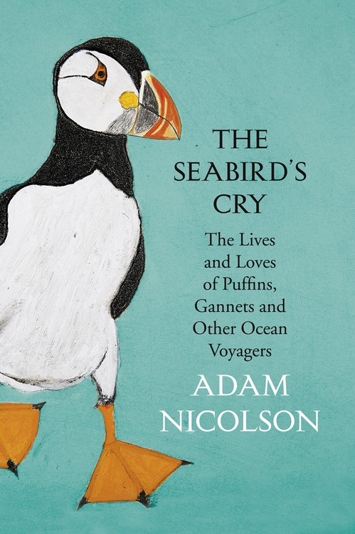 The Seabirds Cry