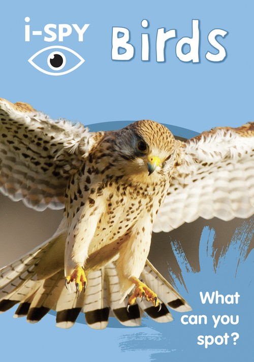 i-SPY Birds