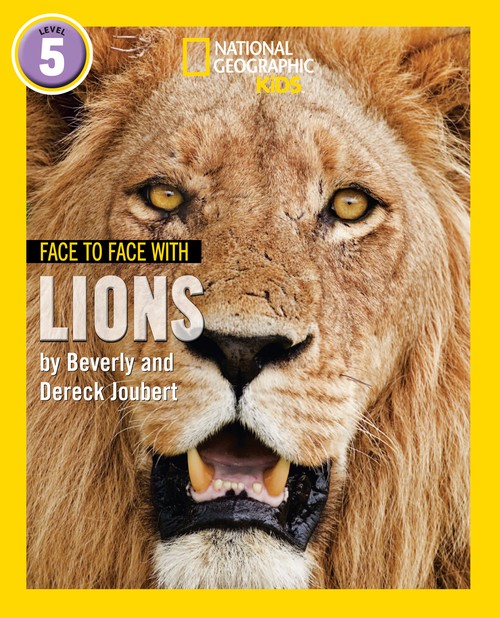 Face to Face with Lions