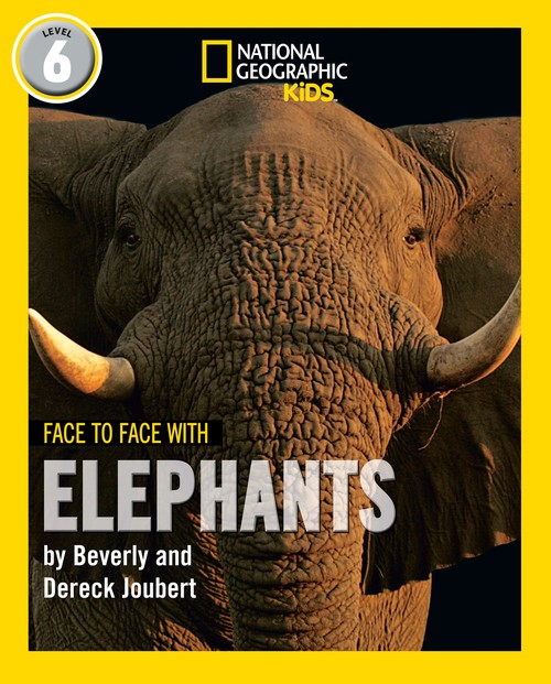 Face to Face with Elephants