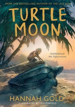 Turtle Moon