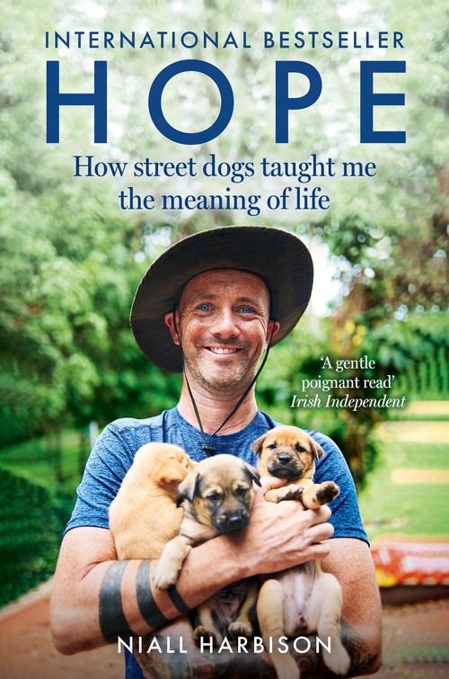 Hope How Street Dogs Taught Me the Meaning of Life