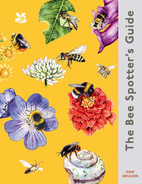 The Bee Spotters Guide