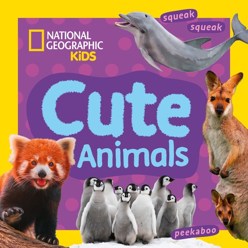 Cute Animals
