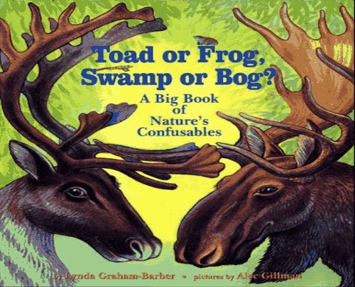 Toad or Frog, Swamp or Bog?