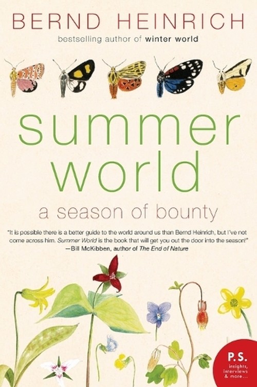 Summer World