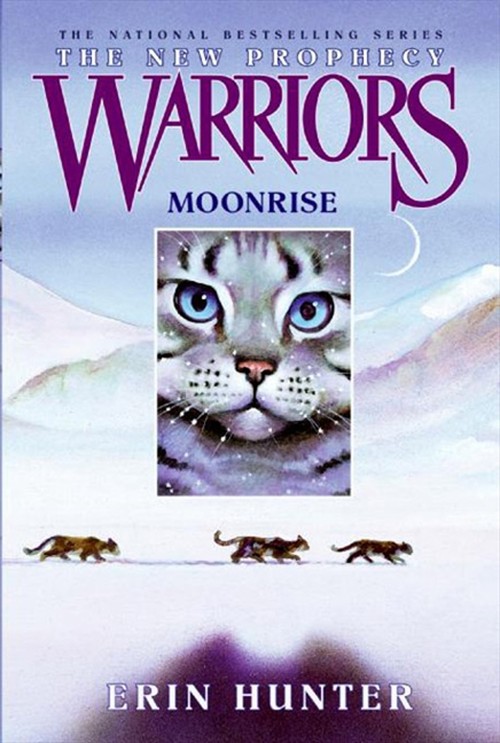 Warriors