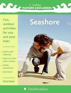 Seashore