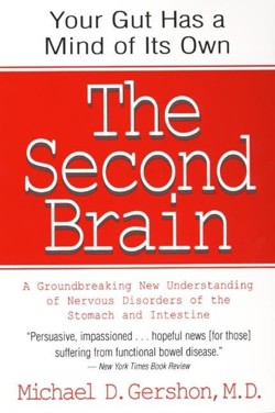 The Second Brain