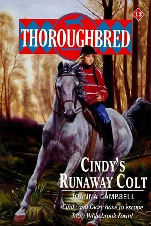 Cindy's Runaway Colt