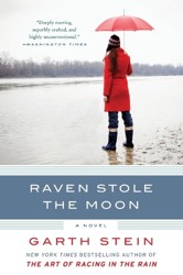 Raven Stole the Moon
