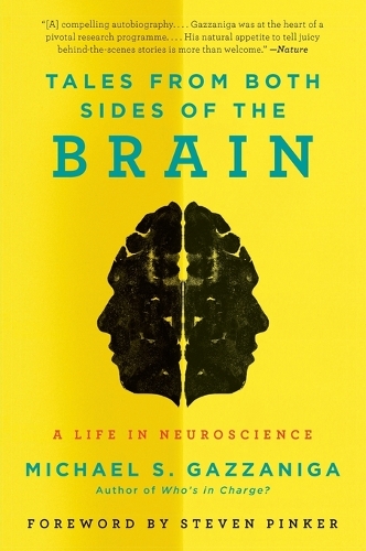 Tales from Both Sides of the Brain