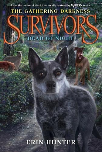 Survivors: The Gathering Darkness #2: Dead of Night