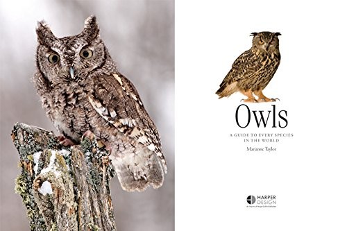 Owls
