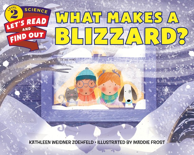 What Makes a Blizzard?