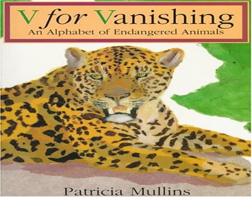 V for Vanishing