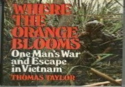 Where the Orange Blooms