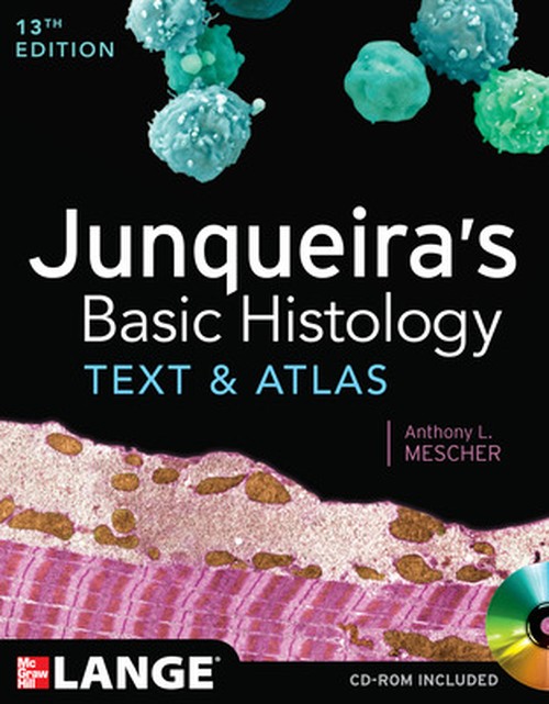 Junqueira's Basic Histology: Text and Atlas, Thirteenth Edition