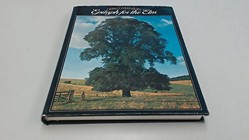 Epitaph for the Elm