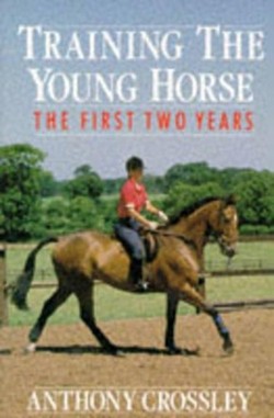 Training the Young Horse
