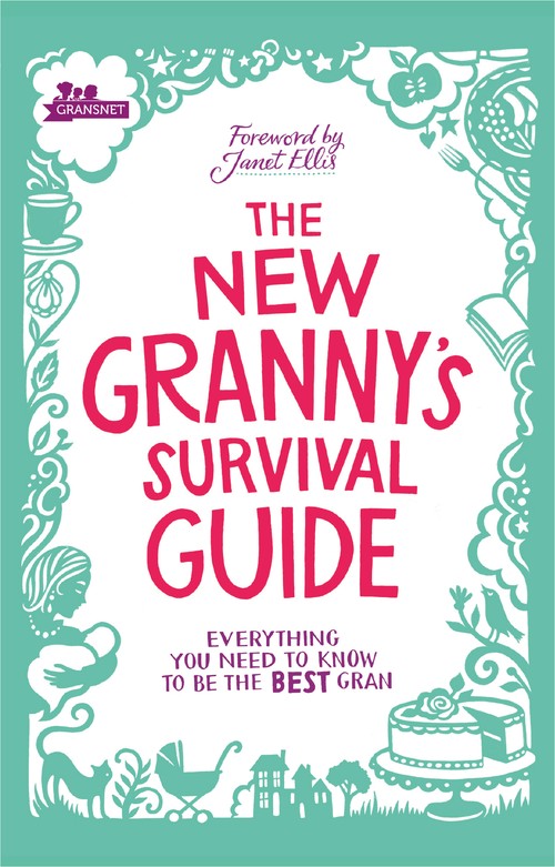 The New Grannys Survival Guide