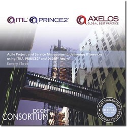 Agile Project and Service Management