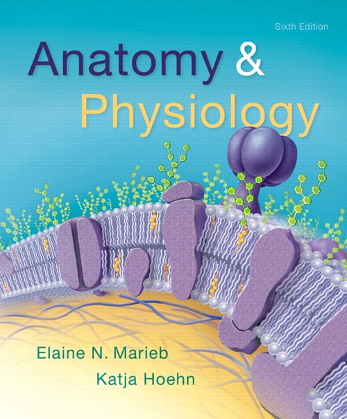 Anatomy & Physiology