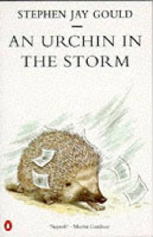 An Urchin in the Storm