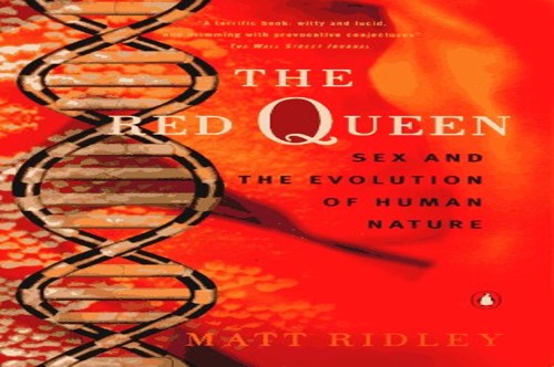 The Red Queen
