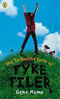 The Turbulent Term of Tyke Tiler