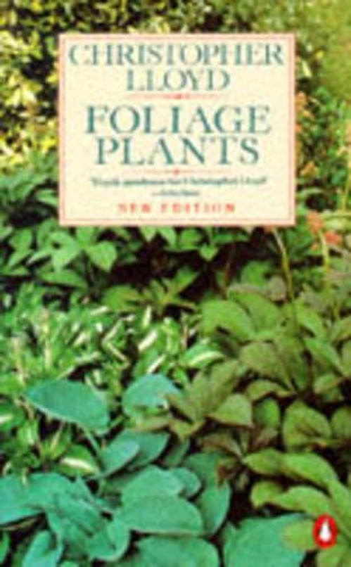 Foliage Plants