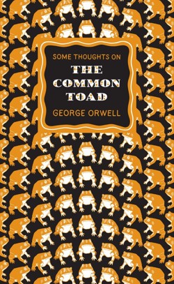 Some Thoughts on the Common Toad