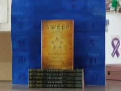 Sweep Book of Shadows  The Coven  Blood Witch