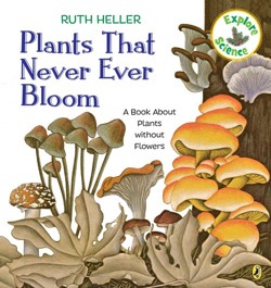 Plants That Never Ever Bloom