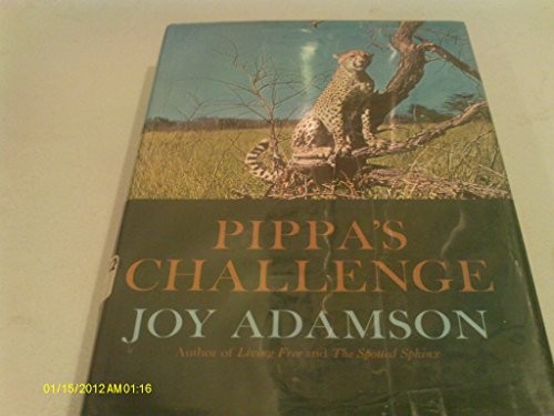 Pippa's Challenge