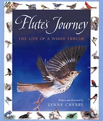 Flute's Journey