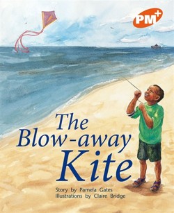 The Blow-away Kite