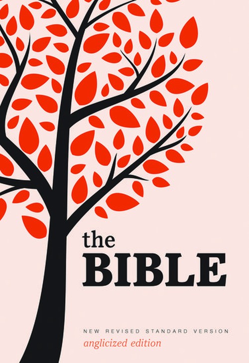 New Revised Standard Version Bible: Popular Text Edition