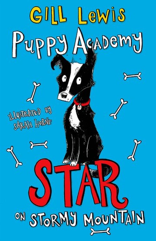 Puppy Academy: Star on Stormy Mountain