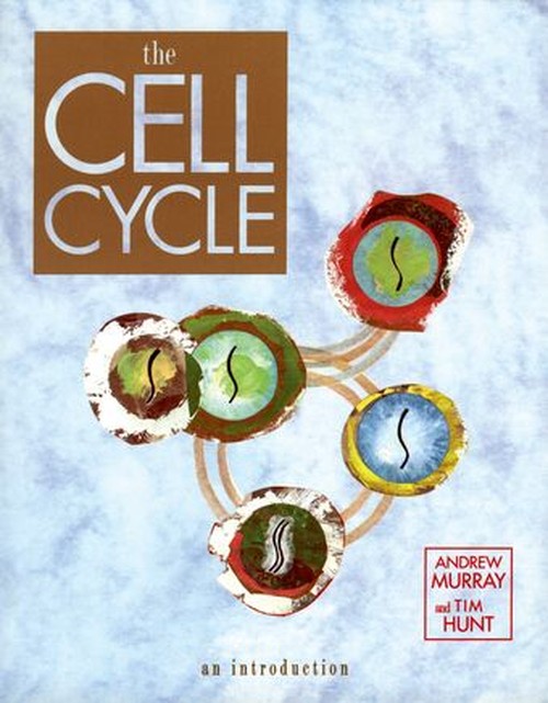 The Cell Cycle