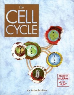 The Cell Cycle