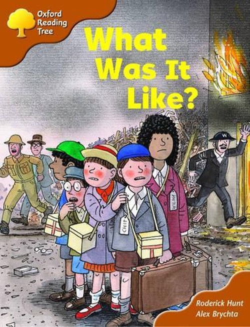 Oxford Reading Tree: Stage 8: More Storybooks (Magic Key): What Was It Like?