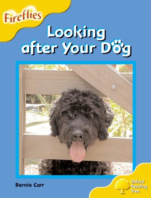 Oxford Reading Tree: Level 5: Fireflies: Looking After your Dog
