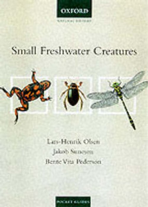 Small Freshwater Creatures